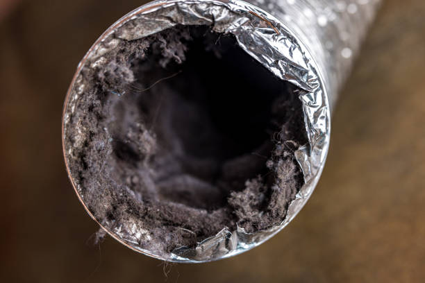 Best Professional Duct Cleaning Services  in Cloverdale, CA